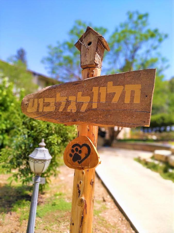 חלון לגלבוע צימר בוטיק בעמק המעיינות Bet Alfa Zewnętrze zdjęcie