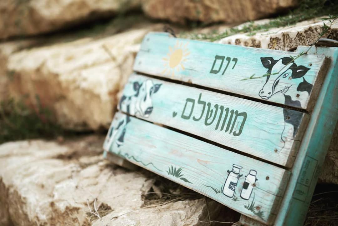חלון לגלבוע צימר בוטיק בעמק המעיינות Bet Alfa Zewnętrze zdjęcie
